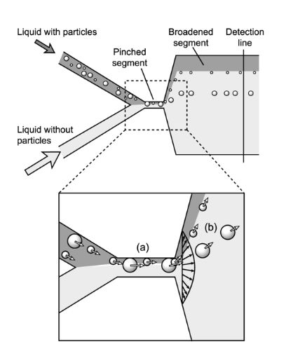 Figure 1: Pinched Flow Fractioning Diagram (Yamada et al. 2004)